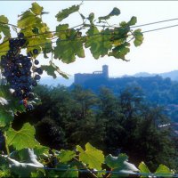 Cascina Piano Estate